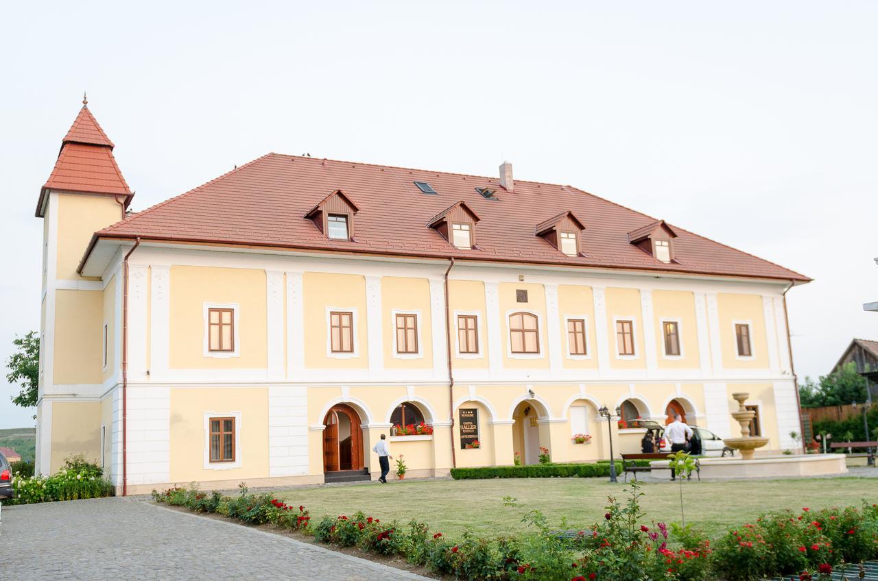 Castel Haller Ogra Exterior foto